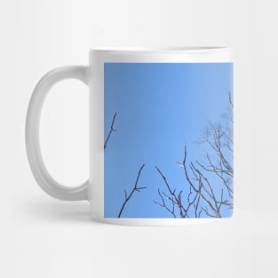 Glinting Branches Mug